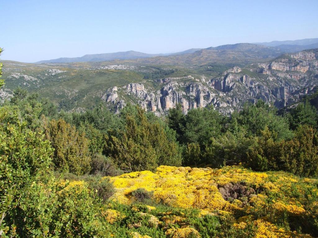 Hotel Casa Tejedor Las Almunias Εξωτερικό φωτογραφία